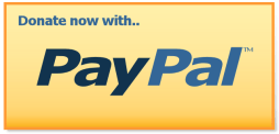 Paypal_button1